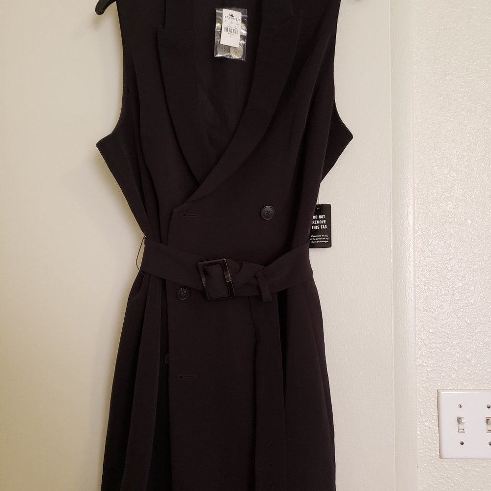 EXPRESS Black Sleeveless Dress XL